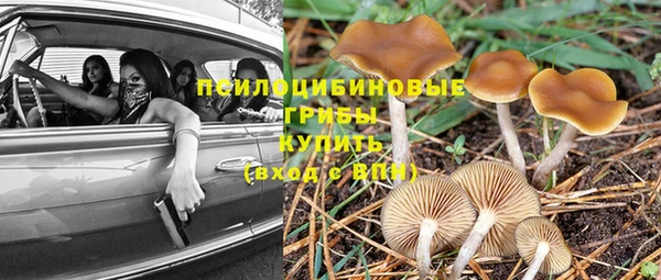 мет Белокуриха
