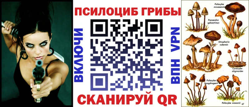 Псилоцибиновые грибы Psilocybine cubensis  Кочубеевское 