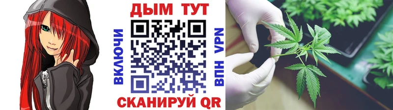 Каннабис конопля  Кочубеевское 